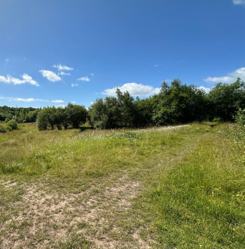 Image 6 of Greenbelt land at Smithy Lane